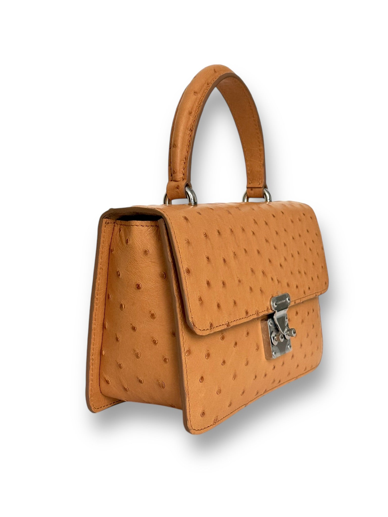 Gold Ostrich Platinum Tone - Anka Top Handle image 1