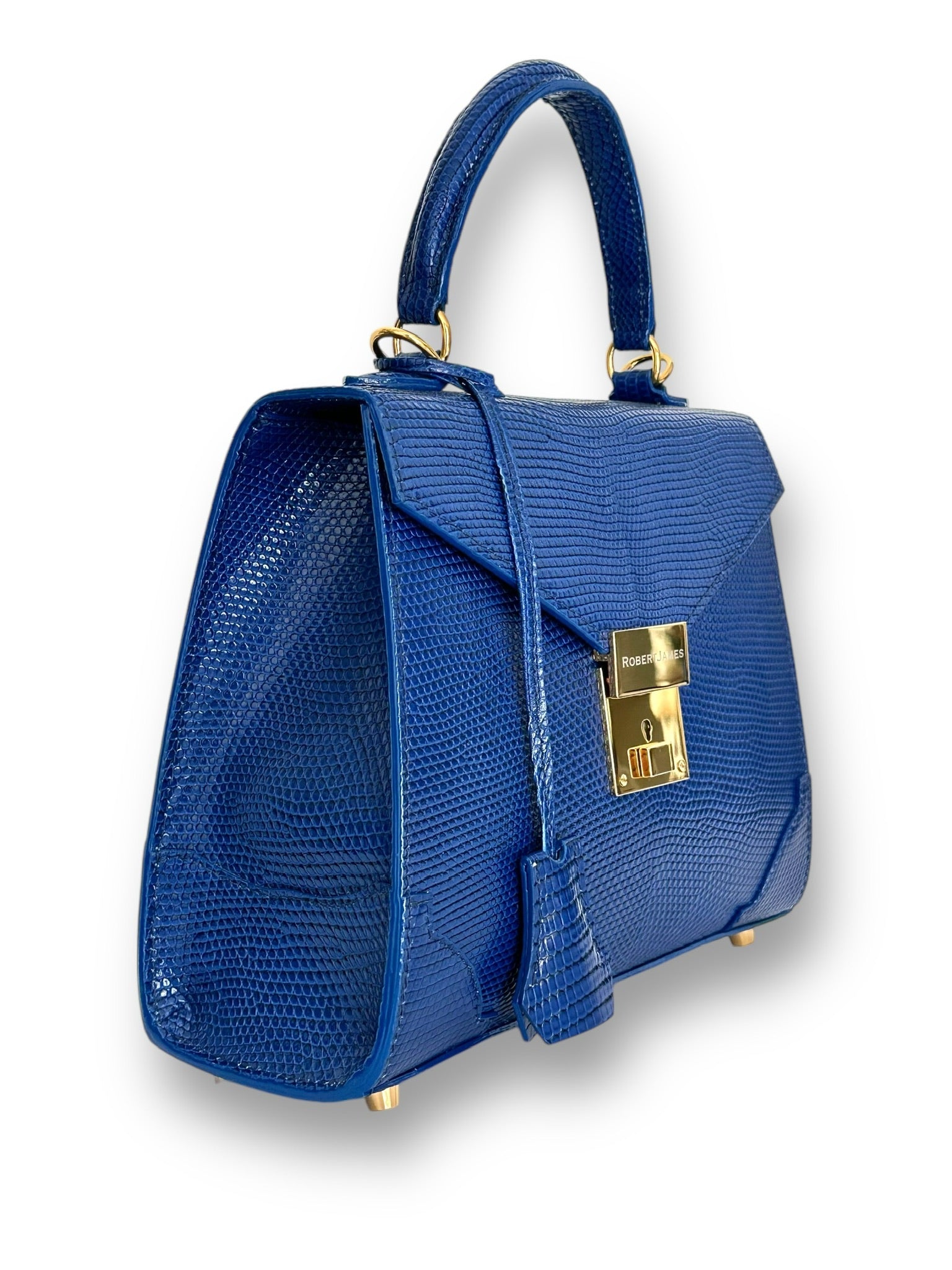 Sapphire Salvator Lizard - The Mary Fran  image 1