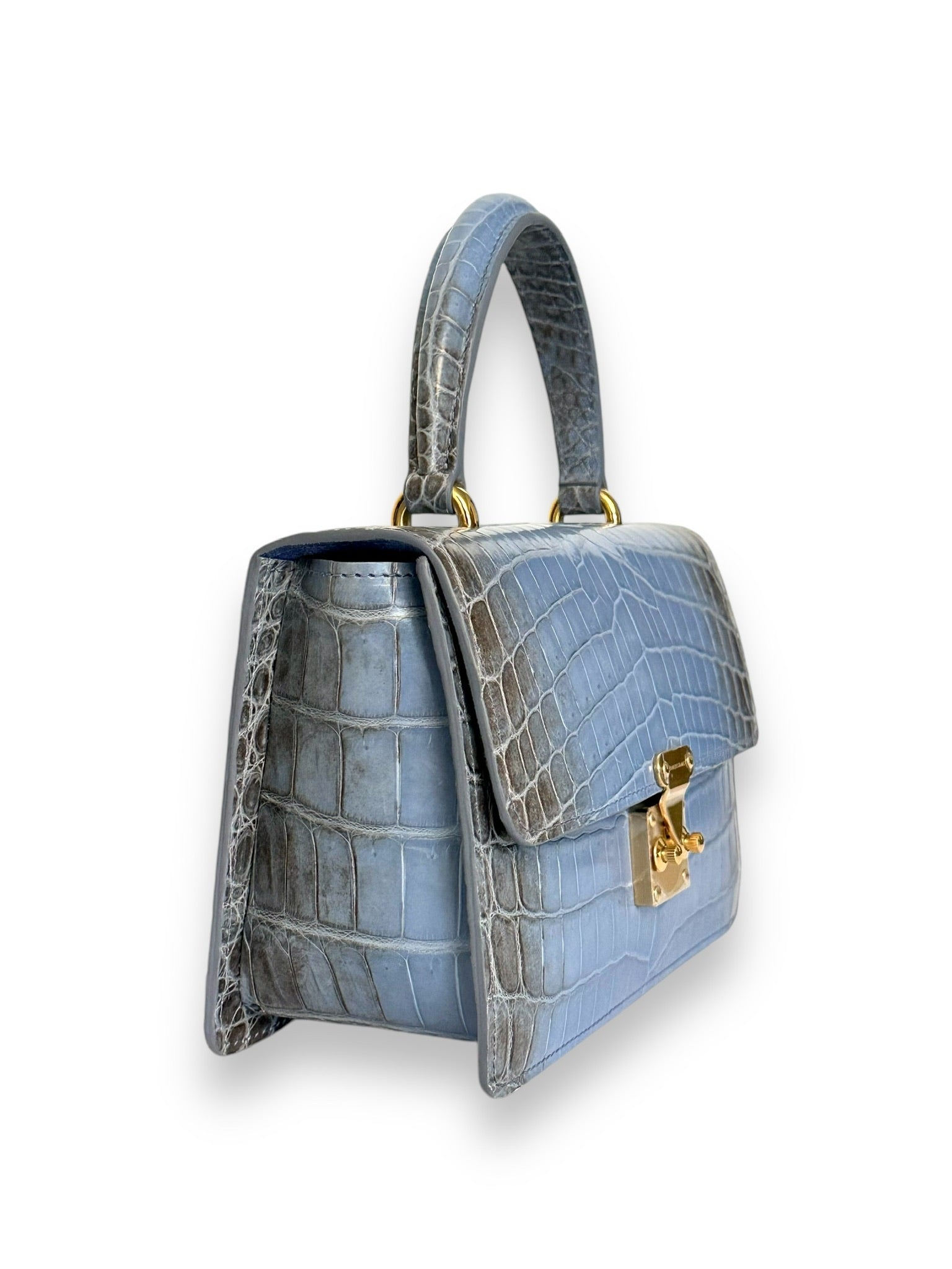 Blue Ombre Himalayan Crocodile - Anka Top Handle image 1