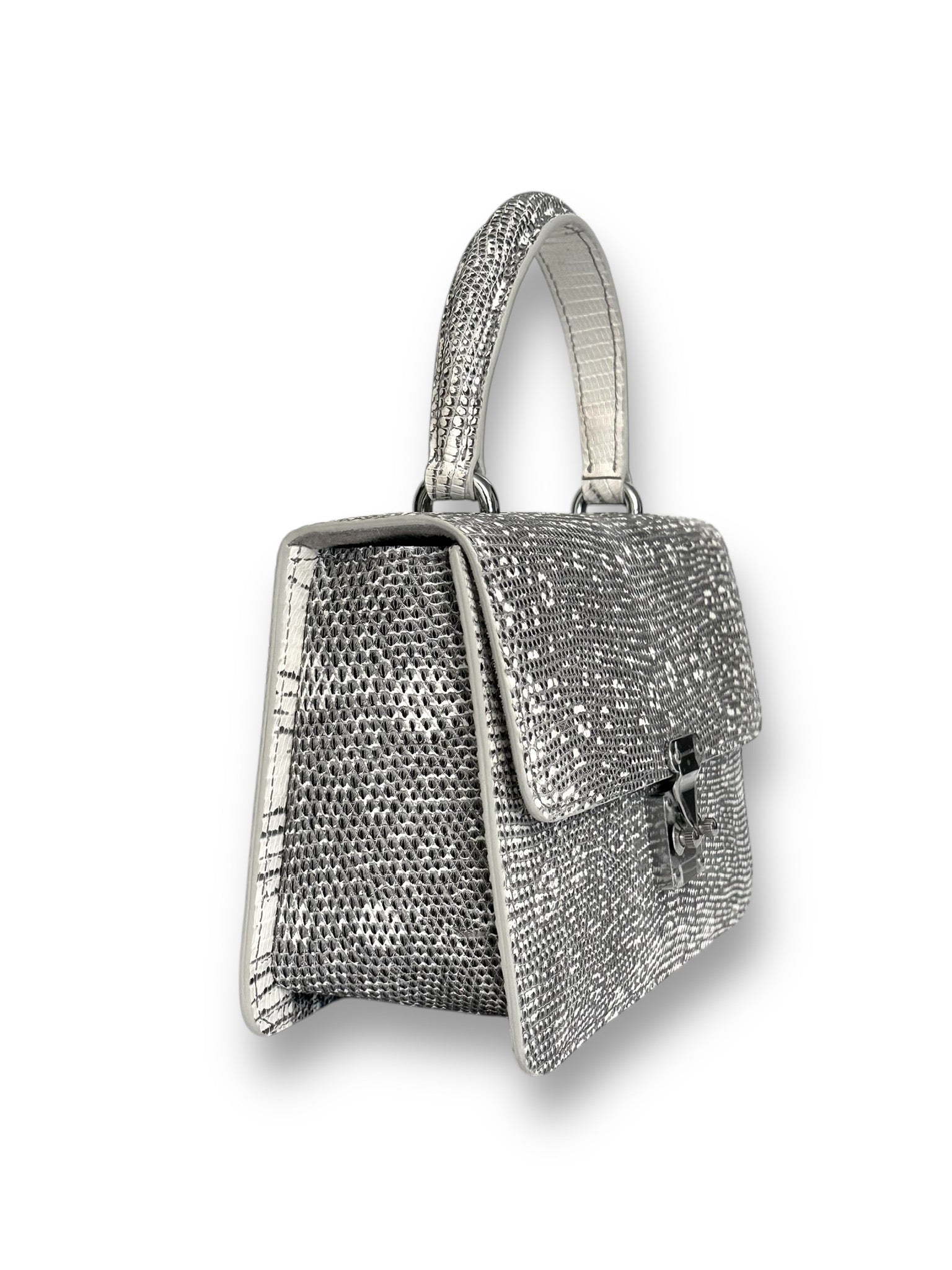 Natural Ombre Lizard - Anka Top Handle image 1