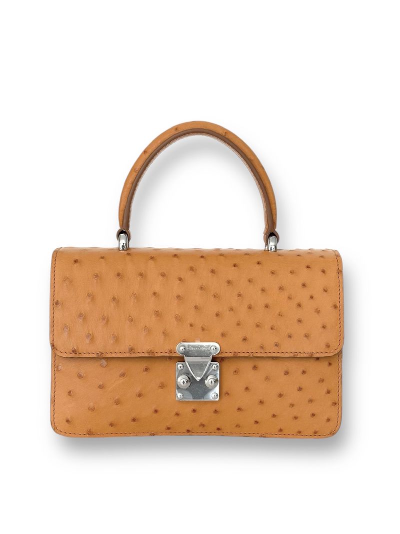 Gold Ostrich Platinum Tone - Anka Top Handle image 0