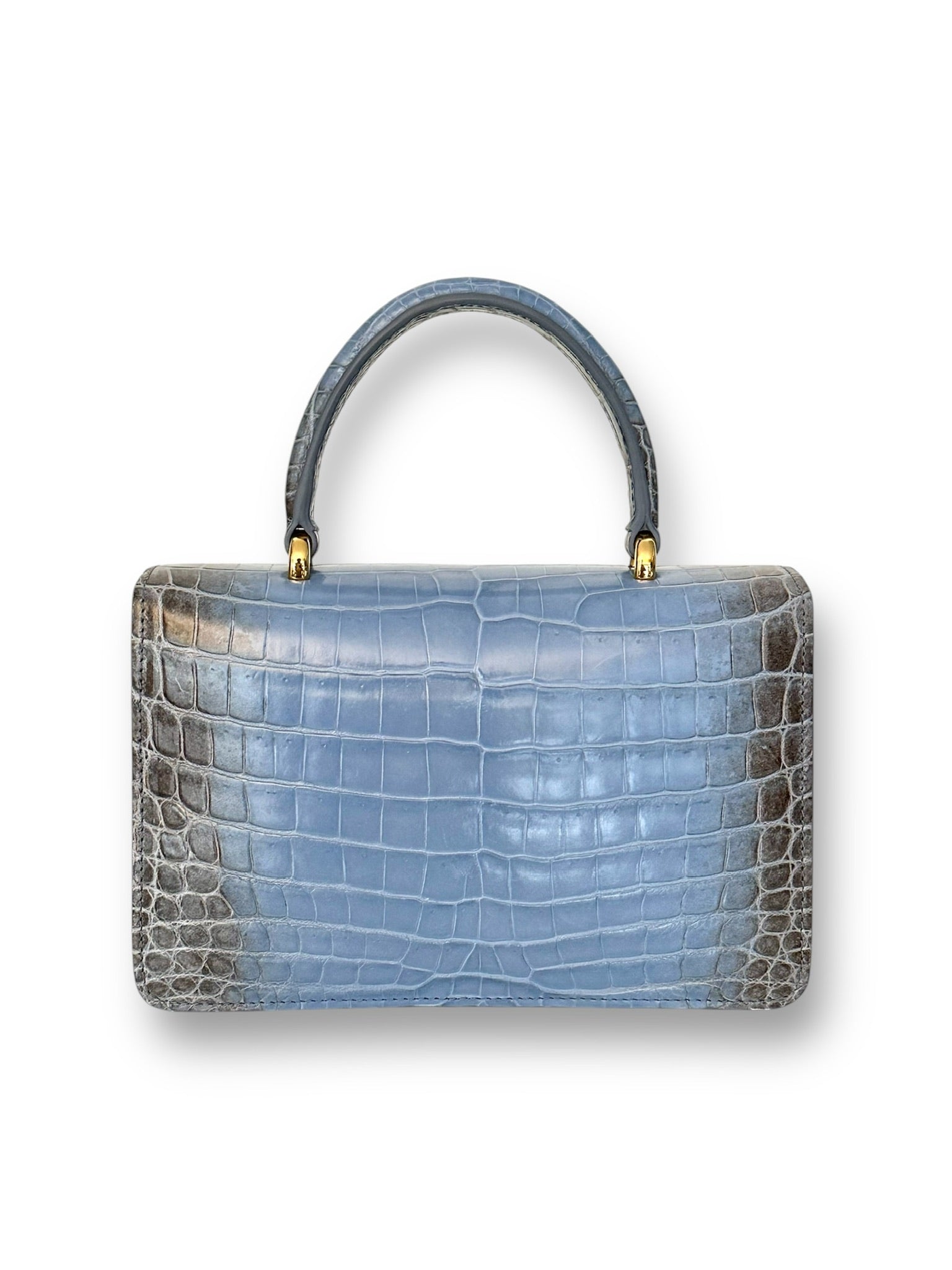 Blue Ombre Himalayan Crocodile - Anka Top Handle image 2