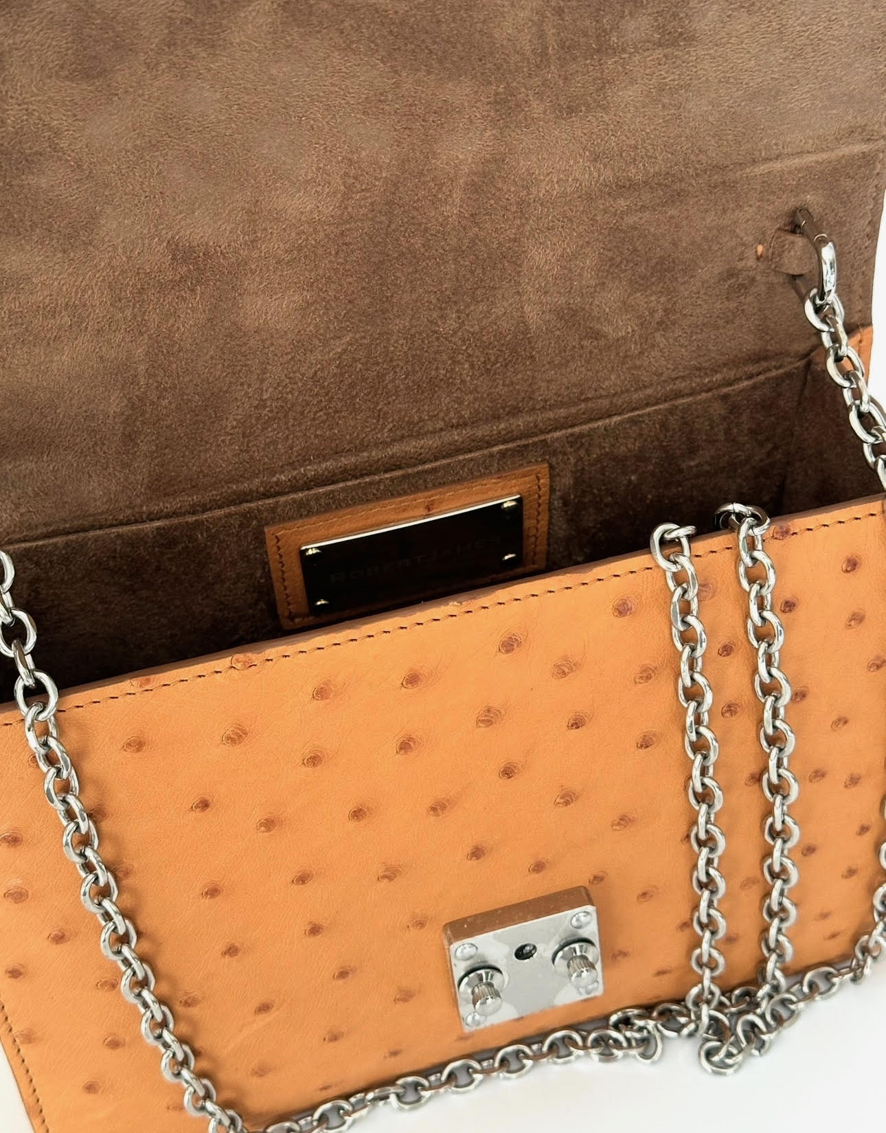 Gold Ostrich Platinum Tone - Anka Top Handle image 4