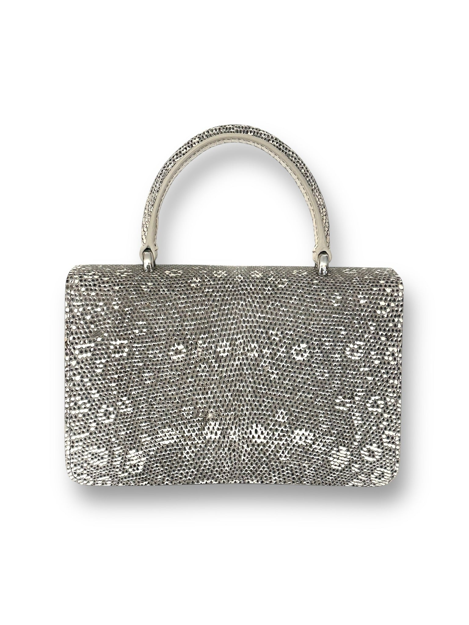 Natural Ombre Lizard - Anka Top Handle image 2