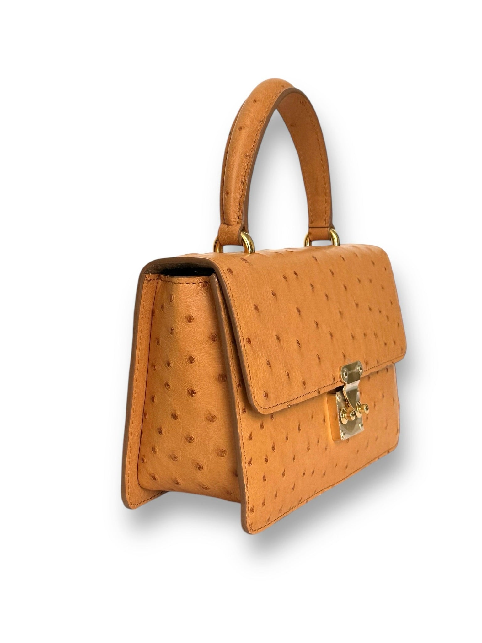 Gold Ostrich 24kt Plated - Anka Top Handle image 1