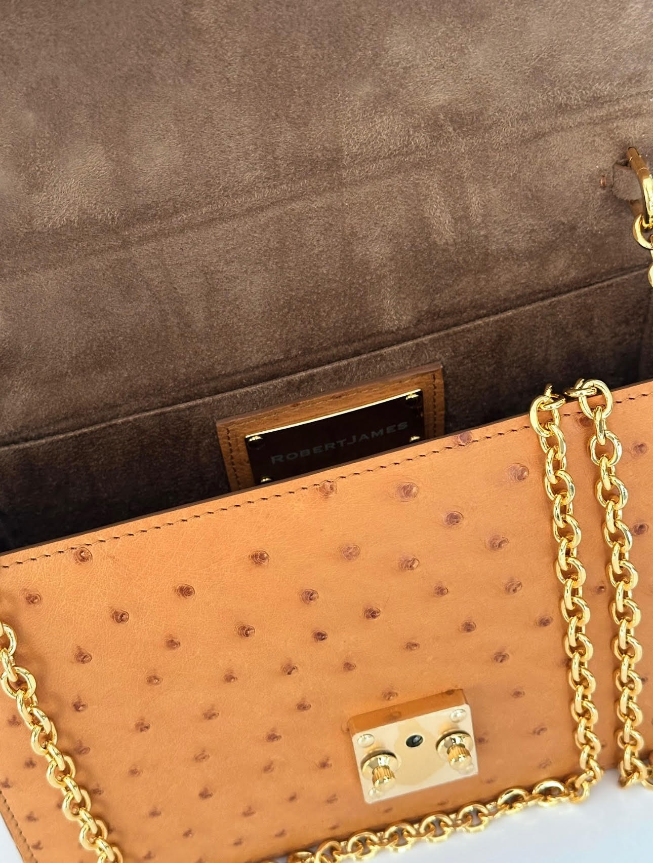 Gold Ostrich 24kt Plated - Anka Top Handle image 4