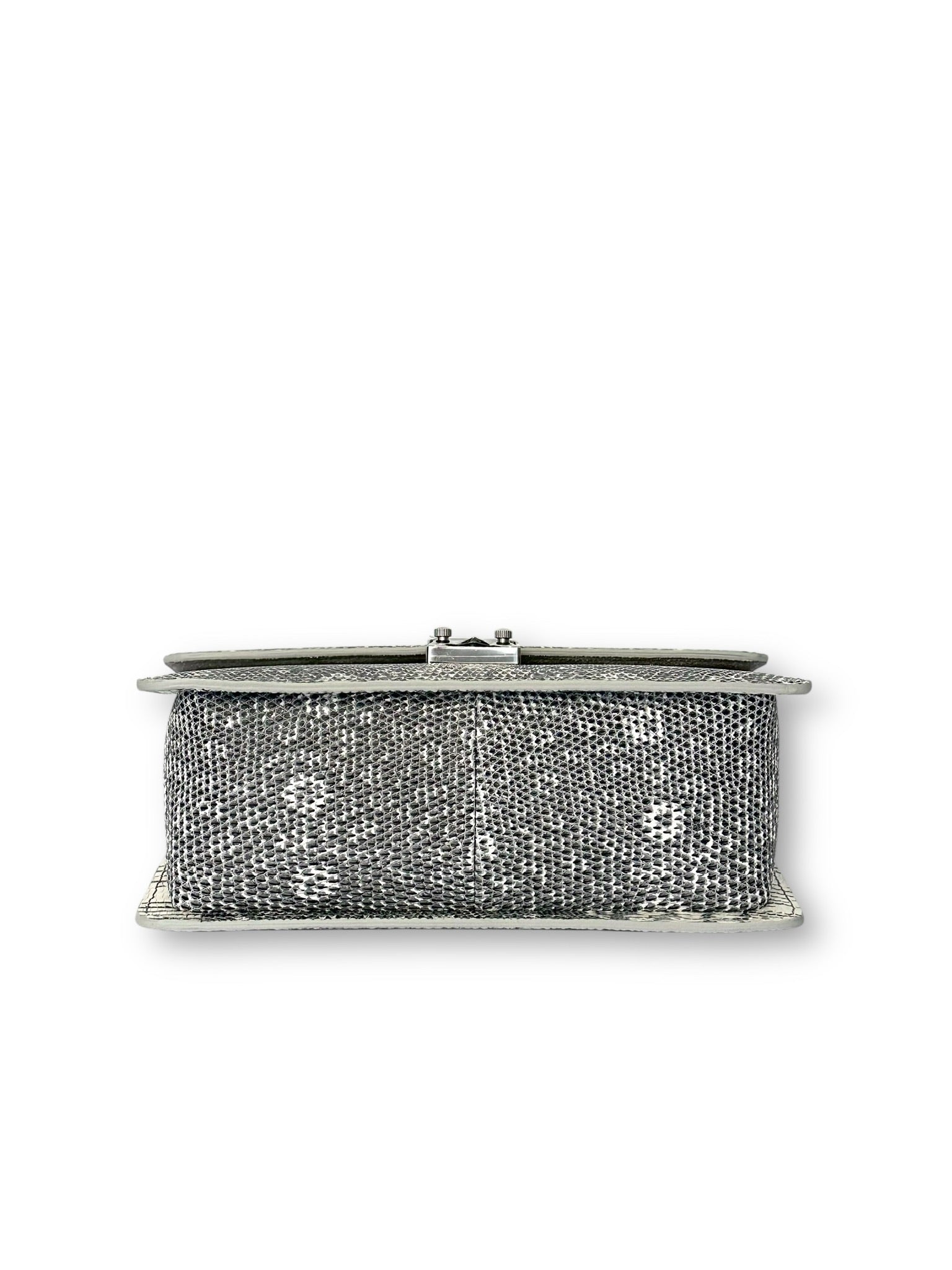 Natural Ombre Lizard - Anka Top Handle image 3