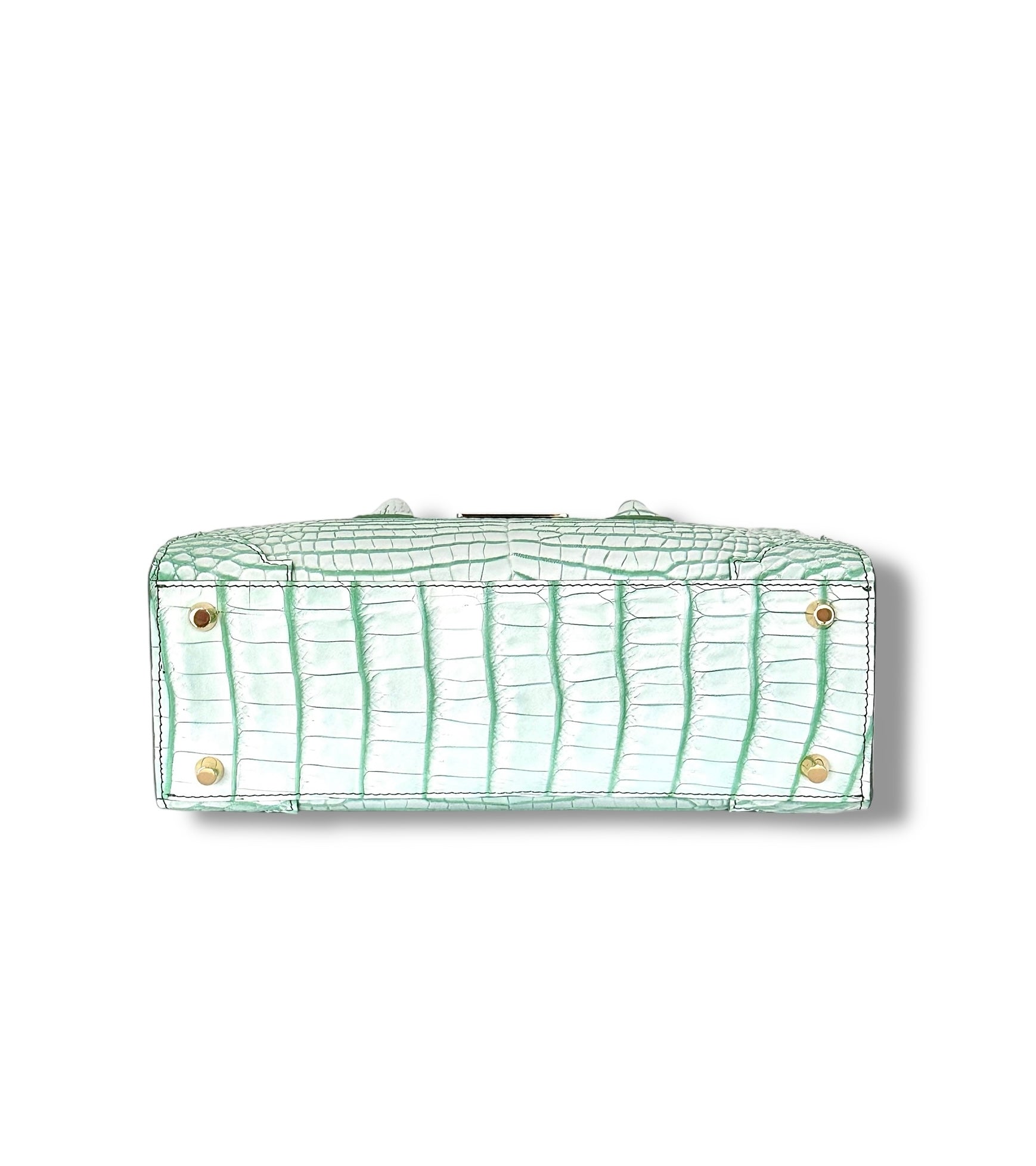 Soft Green and White Porosus Crocodile - The Kolbie image 3