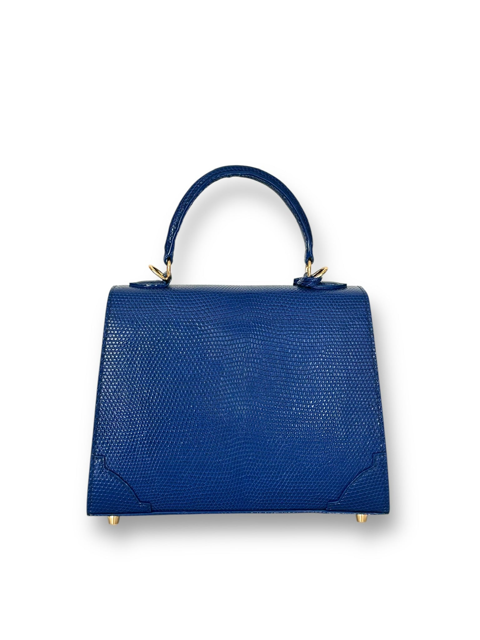 Sapphire Salvator Lizard - The Mary Fran  image 2