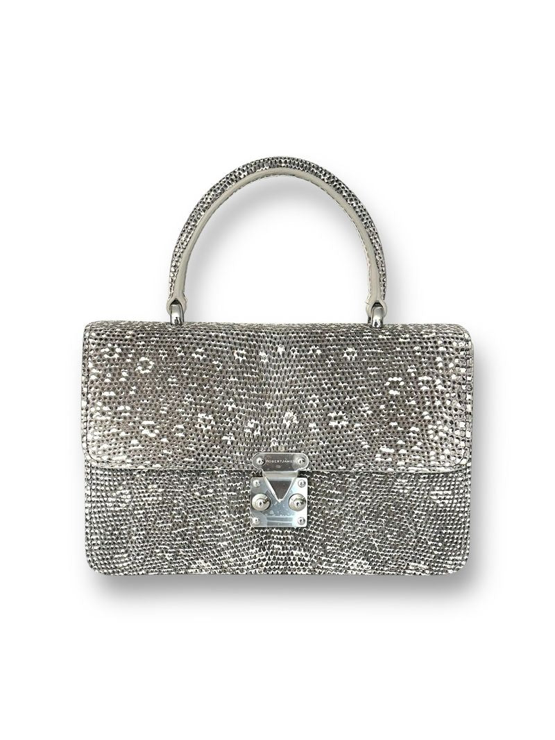 Natural Ombre Lizard - Anka Top Handle image 0