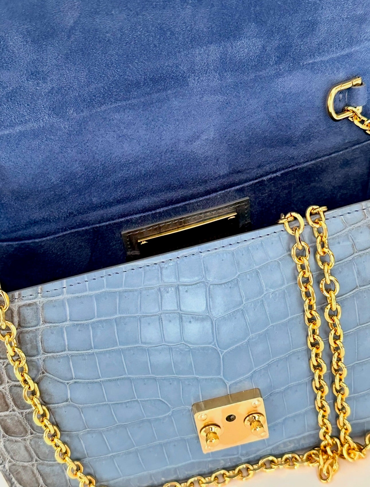 Blue Ombre Himalayan Crocodile - Anka Top Handle image 4