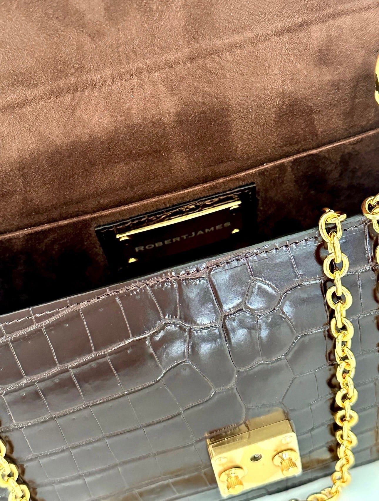 Deep Brown Niloticus Crocodile - Anka Top Handle image 4