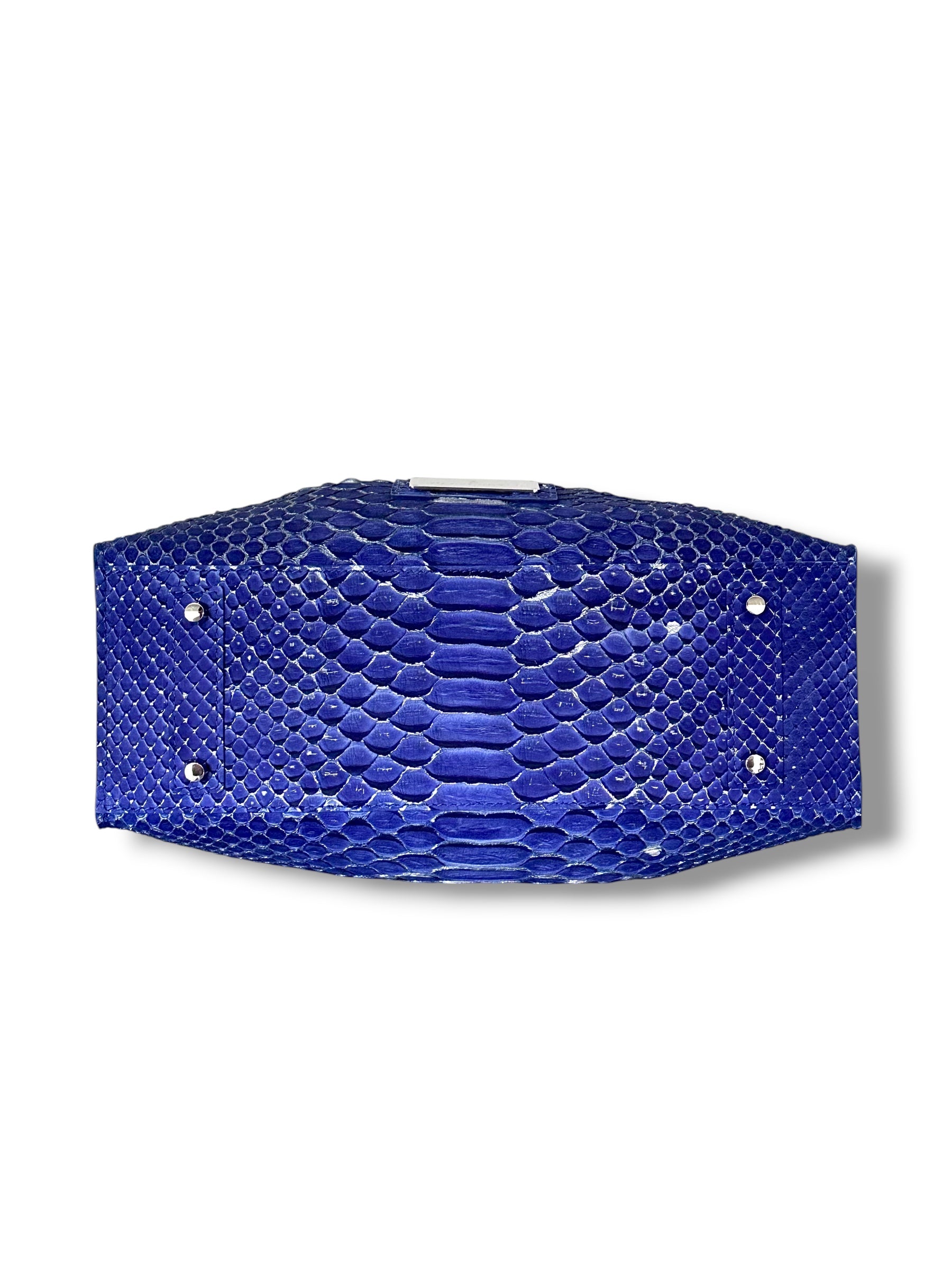 Electric Blue Python with Silver Accents - The Johnna Tote